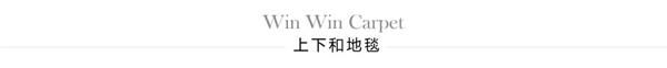 上下和地毯logo图