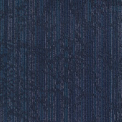 T8695
