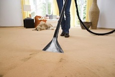 办公地毯清洗多久一次合适？