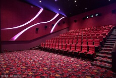 电影院用的是什么地毯【问题已解决】
