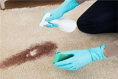 家用地毯清洗清洁小技巧