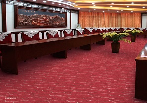 水波纹之交错系列 酒店客房/办公会议室丙纶簇绒地毯